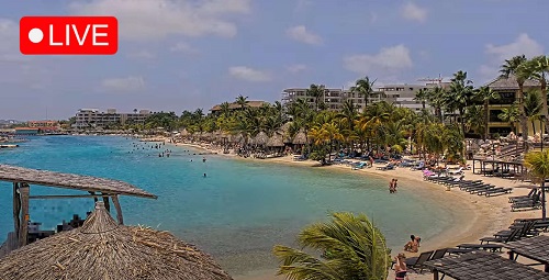 Webcam Mambo Beach | LionsDive Beach Resort | Curaçao