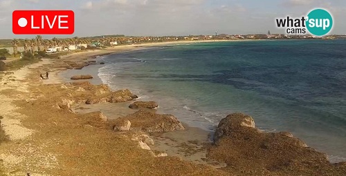 Webcam en vivo Cala Saline - Playa Putzu Idu | Cerdeña