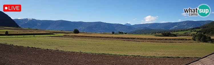 Live view of Kronplatz and Dolomites from Farm Winklerhof, Gais